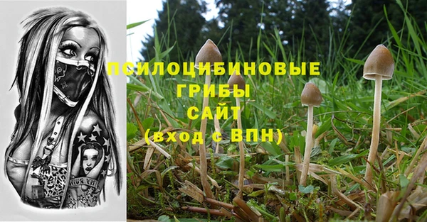 ГАЛЛЮЦИНОГЕННЫЕ ГРИБЫ Алзамай